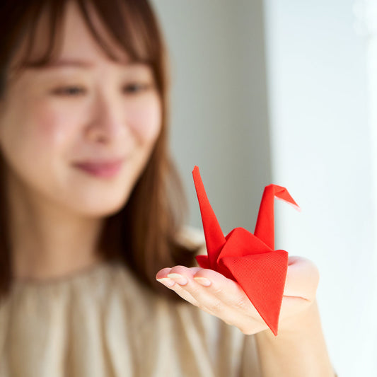 形状記憶 “布オリガミ” クリーナー / Peti Peto