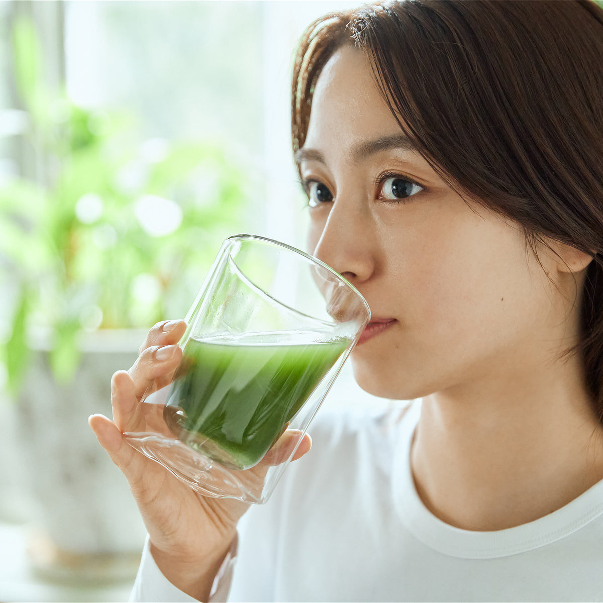 植物発酵エキス配合のグリーンパウダー｜MO ZYME